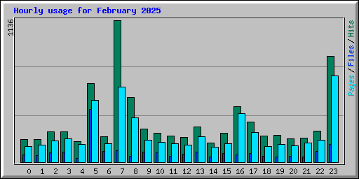 Hourly usage for February 2025
