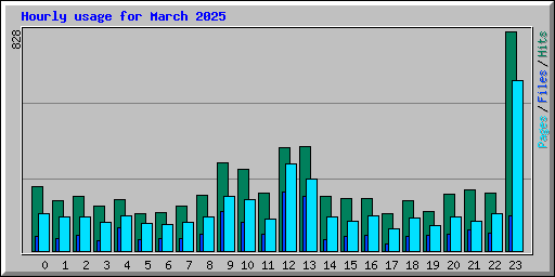 Hourly usage for March 2025