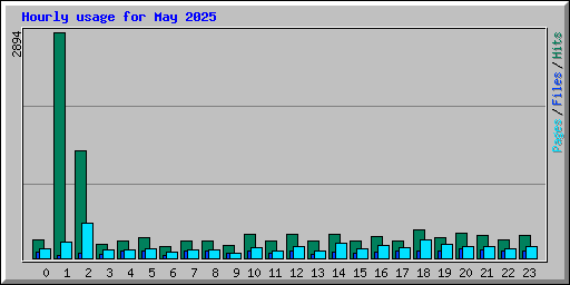 Hourly usage for May 2025