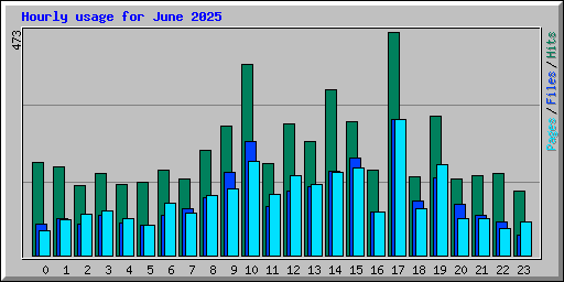 Hourly usage for June 2025