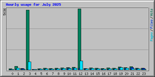 Hourly usage for July 2025