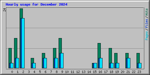 Hourly usage for December 2024