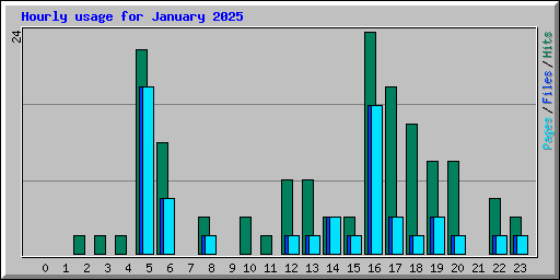 Hourly usage for January 2025