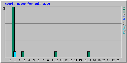 Hourly usage for July 2025