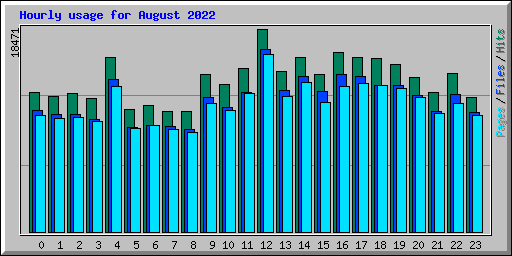 Hourly usage for August 2022