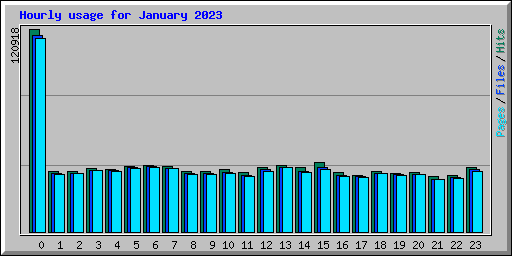 Hourly usage for January 2023