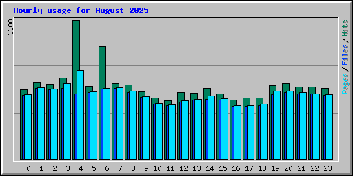 Hourly usage for August 2025