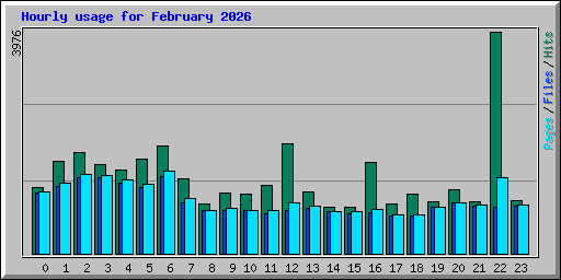 Hourly usage for February 2026