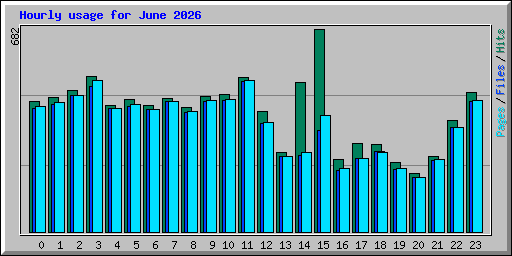 Hourly usage for June 2026