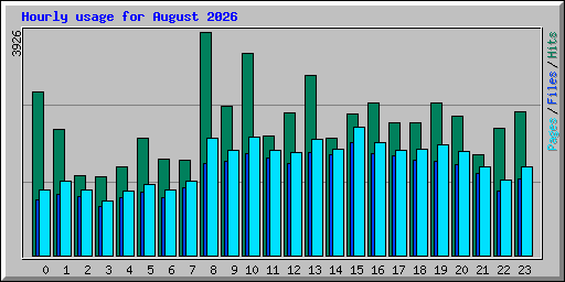 Hourly usage for August 2026