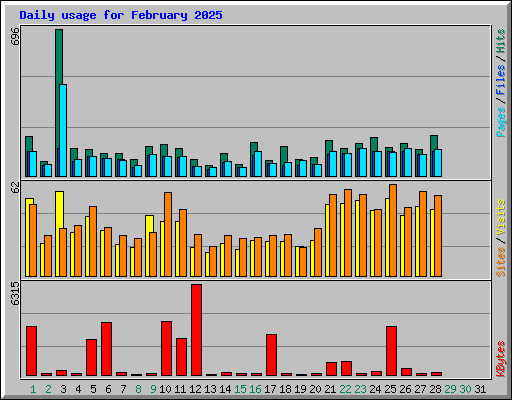 Daily usage for February 2025