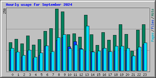 Hourly usage for September 2024