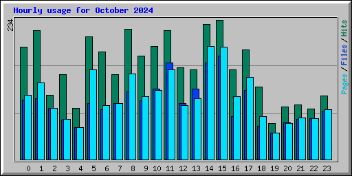 Hourly usage for October 2024