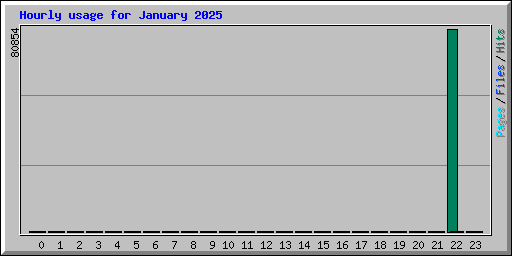 Hourly usage for January 2025
