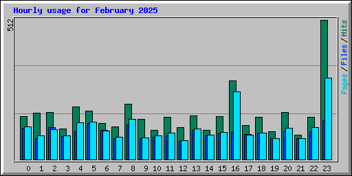 Hourly usage for February 2025