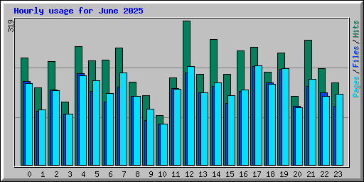 Hourly usage for June 2025
