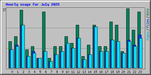 Hourly usage for July 2025