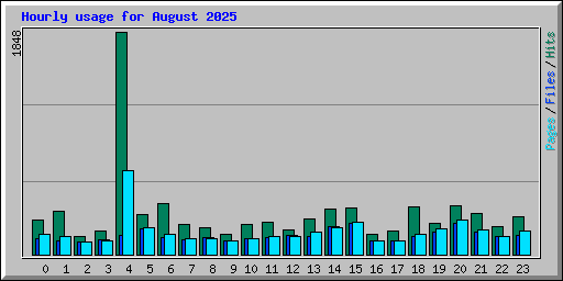 Hourly usage for August 2025