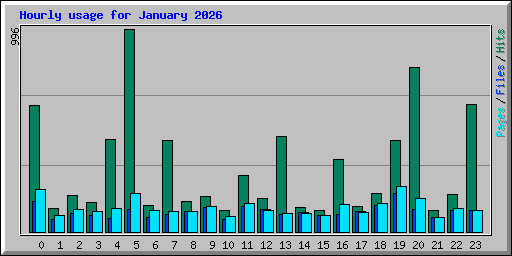 Hourly usage for January 2026