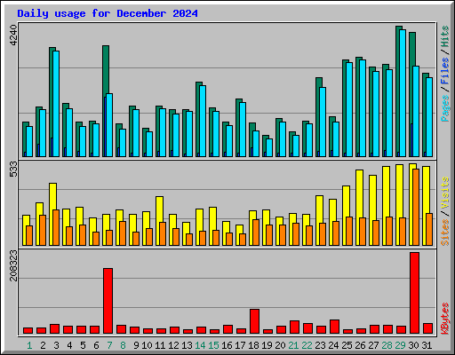 Daily usage for December 2024