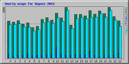 Hourly usage for August 2024