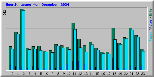 Hourly usage for December 2024