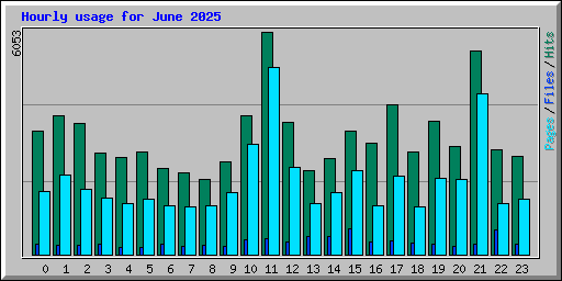 Hourly usage for June 2025