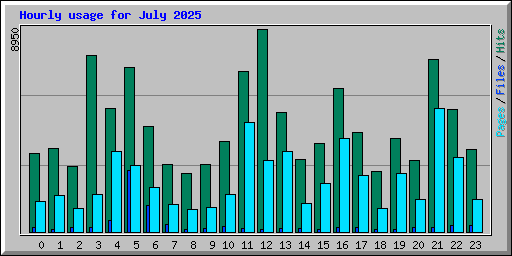 Hourly usage for July 2025