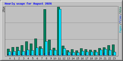 Hourly usage for August 2026