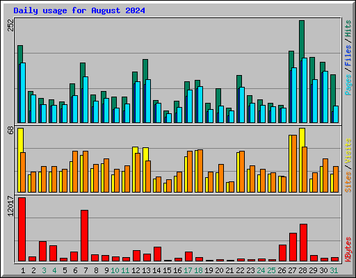 Daily usage for August 2024