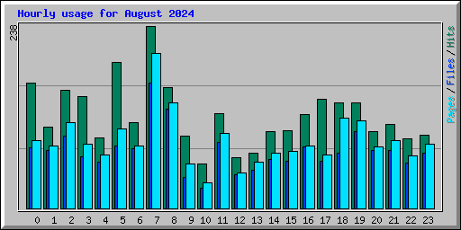 Hourly usage for August 2024