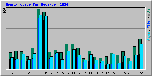 Hourly usage for December 2024