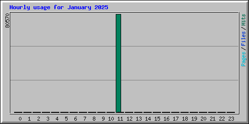 Hourly usage for January 2025