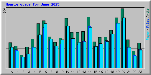 Hourly usage for June 2025