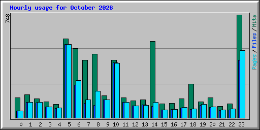 Hourly usage for October 2026