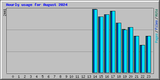 Hourly usage for August 2024