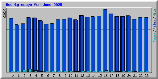 Hourly usage for June 2025
