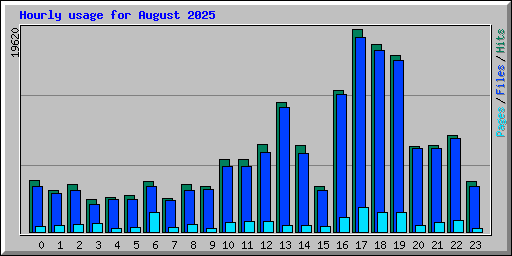 Hourly usage for August 2025