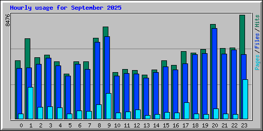 Hourly usage for September 2025