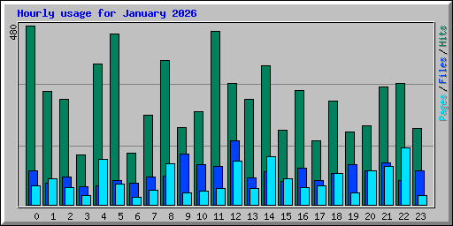 Hourly usage for January 2026