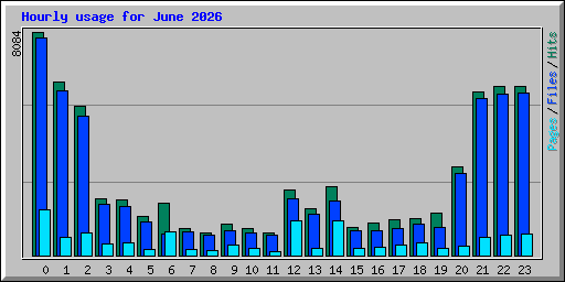 Hourly usage for June 2026