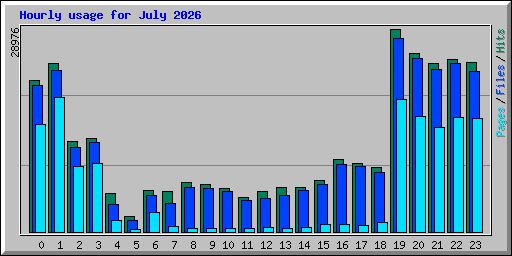 Hourly usage for July 2026