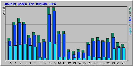 Hourly usage for August 2026