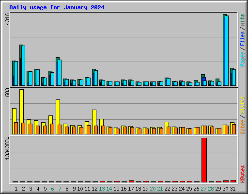 Daily usage for January 2024