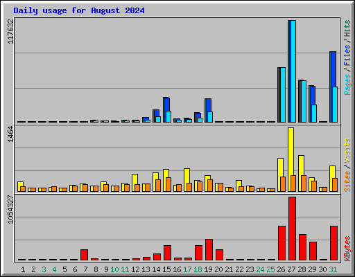 Daily usage for August 2024