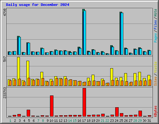 Daily usage for December 2024