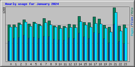 Hourly usage for January 2024