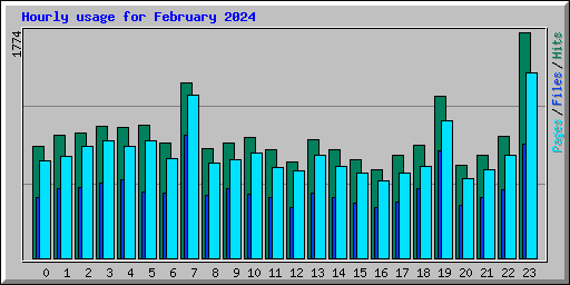 Hourly usage for February 2024