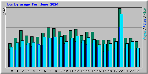 Hourly usage for June 2024