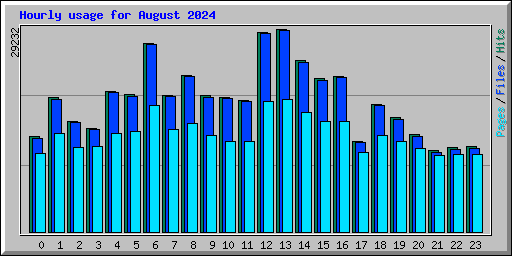 Hourly usage for August 2024